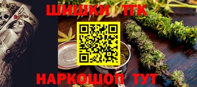мдпв Бийск
