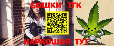 мдпв Бийск